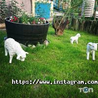 відгуки про Каролінка фото