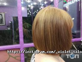 Violet відгуки фото