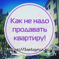 Ashta Company отзывы фото