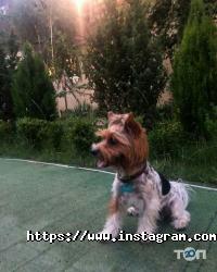 Весняний Запоріжжя фото