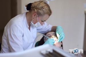 відгуки про Family Dentist фото