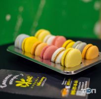 Їжак Кропивницький відгуки Їжак Кропивницький відгуки фото