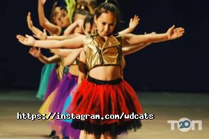 Wild Dancing Cats отзывы фото