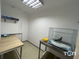 відгуки про TopVet фото