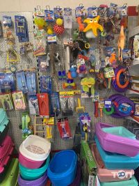 Зоомагазини і послуги для тварин Пітон фото