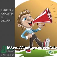 Alexa Cleaning Company Астана фото