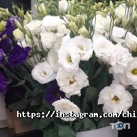 Марина flowers, салон цветов фото