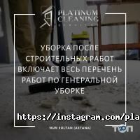 Platinum Cleaning отзывы фото