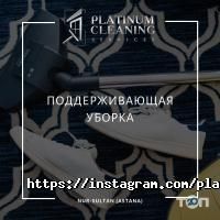 Platinum Cleaning Астана фото