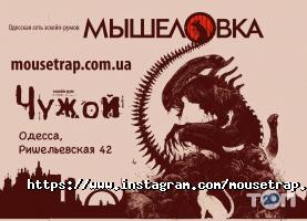 отзывы о Дом Квестов фото