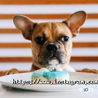 Donuts club отзывы фото