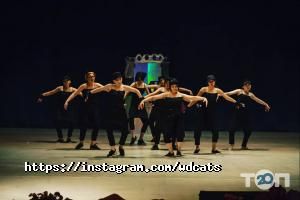 отзывы о Wild Dancing Cats фото