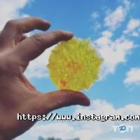 відгуки про Волинська Січ фото