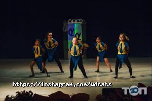 Курсы, тренинги Wild Dancing Cats фото