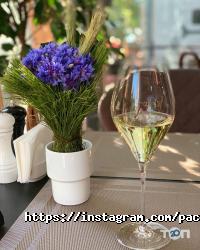 Pacific відгуки фото