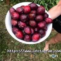 ПростоКвашино, комплекс відпочинку фото