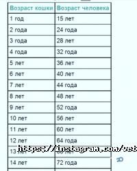 Real отзывы фото
