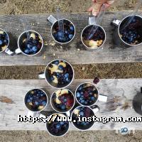 Волинська Січ відгуки фото