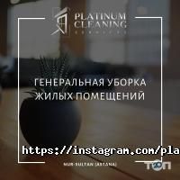 Platinum Cleaning фото