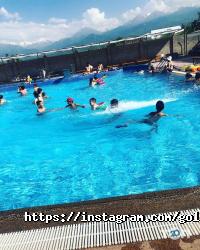 Gold Coast отзывы фото