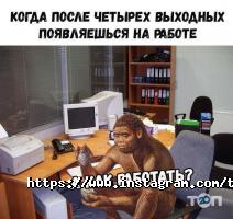 Torrens Одеса фото