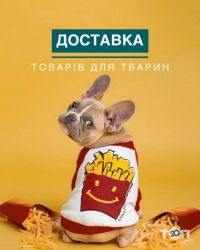 Зоомагазини і послуги для тварин Джессі фото