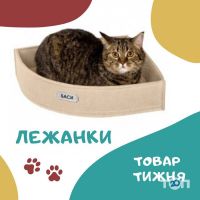 Джессі відгуки фото