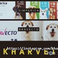 Kharvet Харків фото