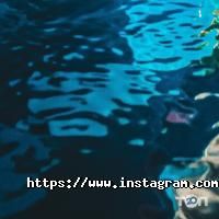 Rap Music Swag Music Records, студія звукозапису фото