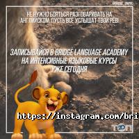 відгуки про Bridge фото