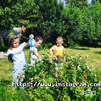 Sunny Bunny, центр розвитку і міні-садок фото