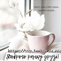 Аудиторські послуги Уцоа вєда фото