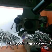 відгуки про Olton фото