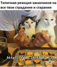 Веб-дизайн і створення сайтів Style Sites фото