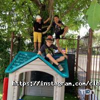 Clover school Одеса фото