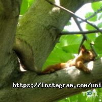 УникУм, детский образовательный центр фото