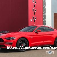 відгуки про Magnum design фото