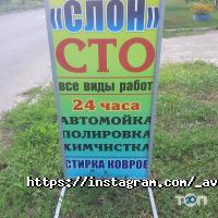 Slon Харків фото