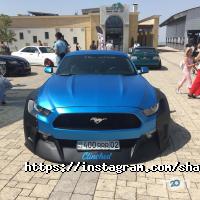 Shark tuning Алматы фото