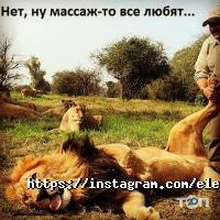 Студія краси Олени Усенко Київ фото