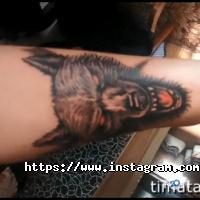 відгуки про TimaTattoo фото