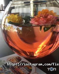 Field House Дніпро фото