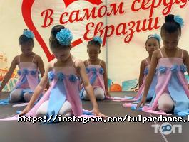 Тулпар Астана фото