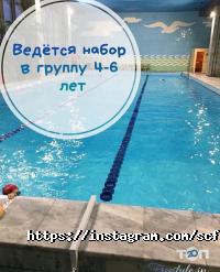 отзывы о FREESTYLE фото