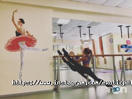 Академія Exotic Pole Dance, танцювальна студія фото