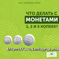 Кот group отзывы фото