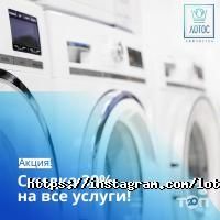 отзывы о Лотос фото
