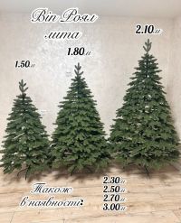 My yalynka Вінниця фото