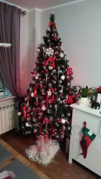 Smereka Karpat, магазин ялинок фото