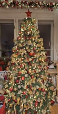 Smereka Karpat відгуки фото